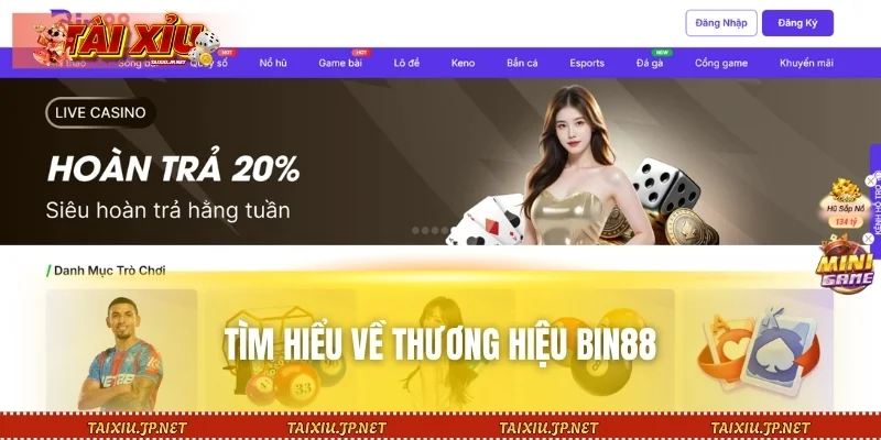 Tìm hiểu về thương hiệu BIN88