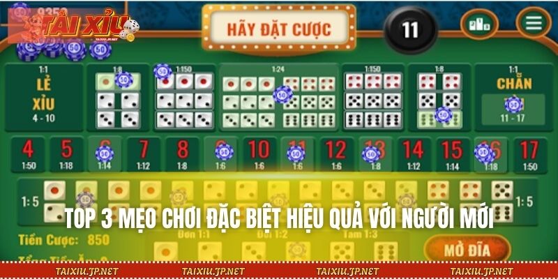 Top 3 mẹo chơi đặc biệt hiệu quả với người mới